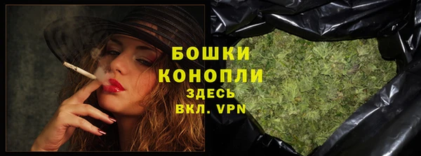 бошки Новодвинск