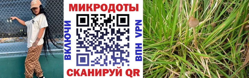 Псилоцибиновые грибы Cubensis  mega ссылка  Острогожск 