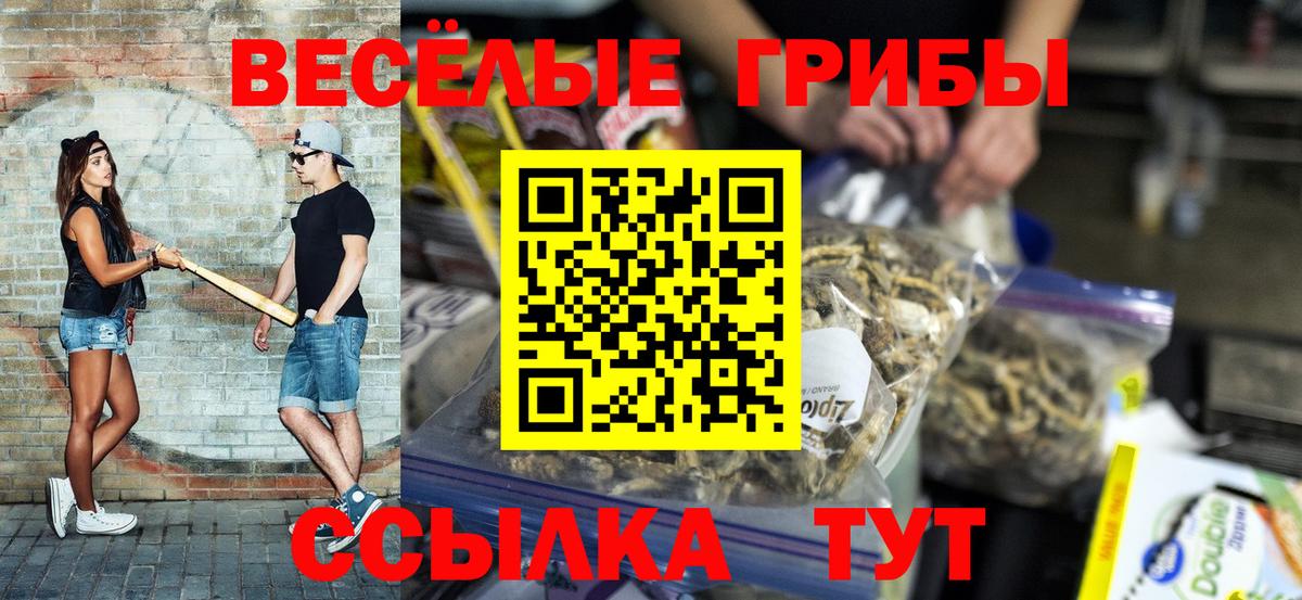 Псилоцибиновые грибы Psilocybe Острогожск